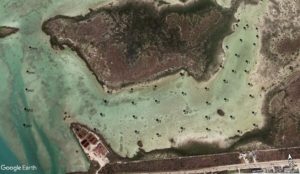 EA Semester Sampling Plan in the Florida Keys