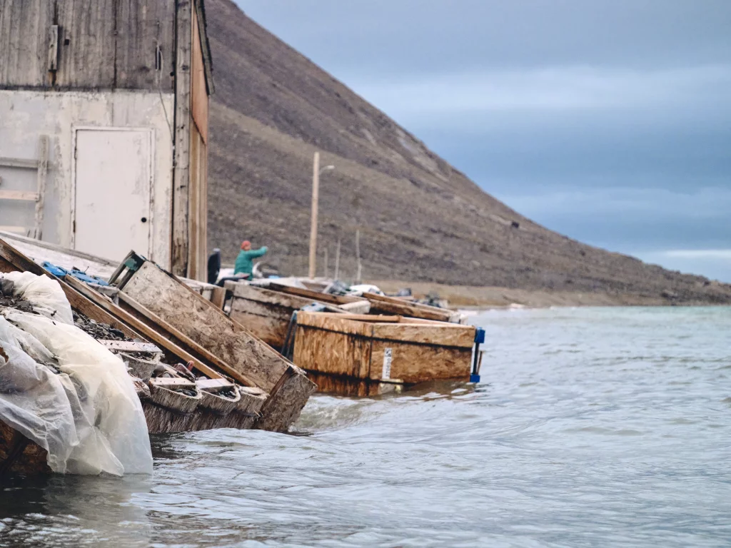 Grise Fiord coastline