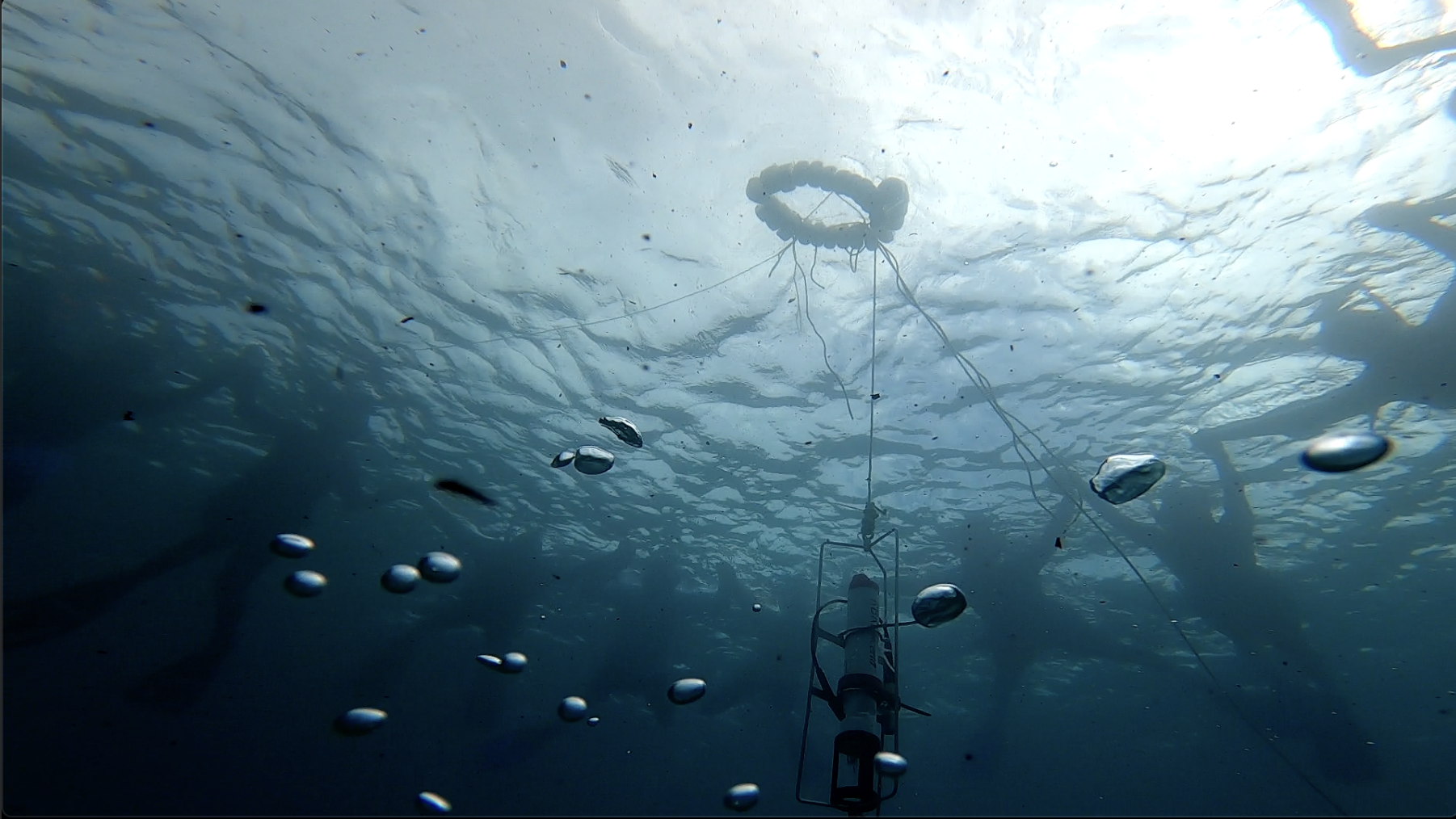 CTD with pH and chl a sensors