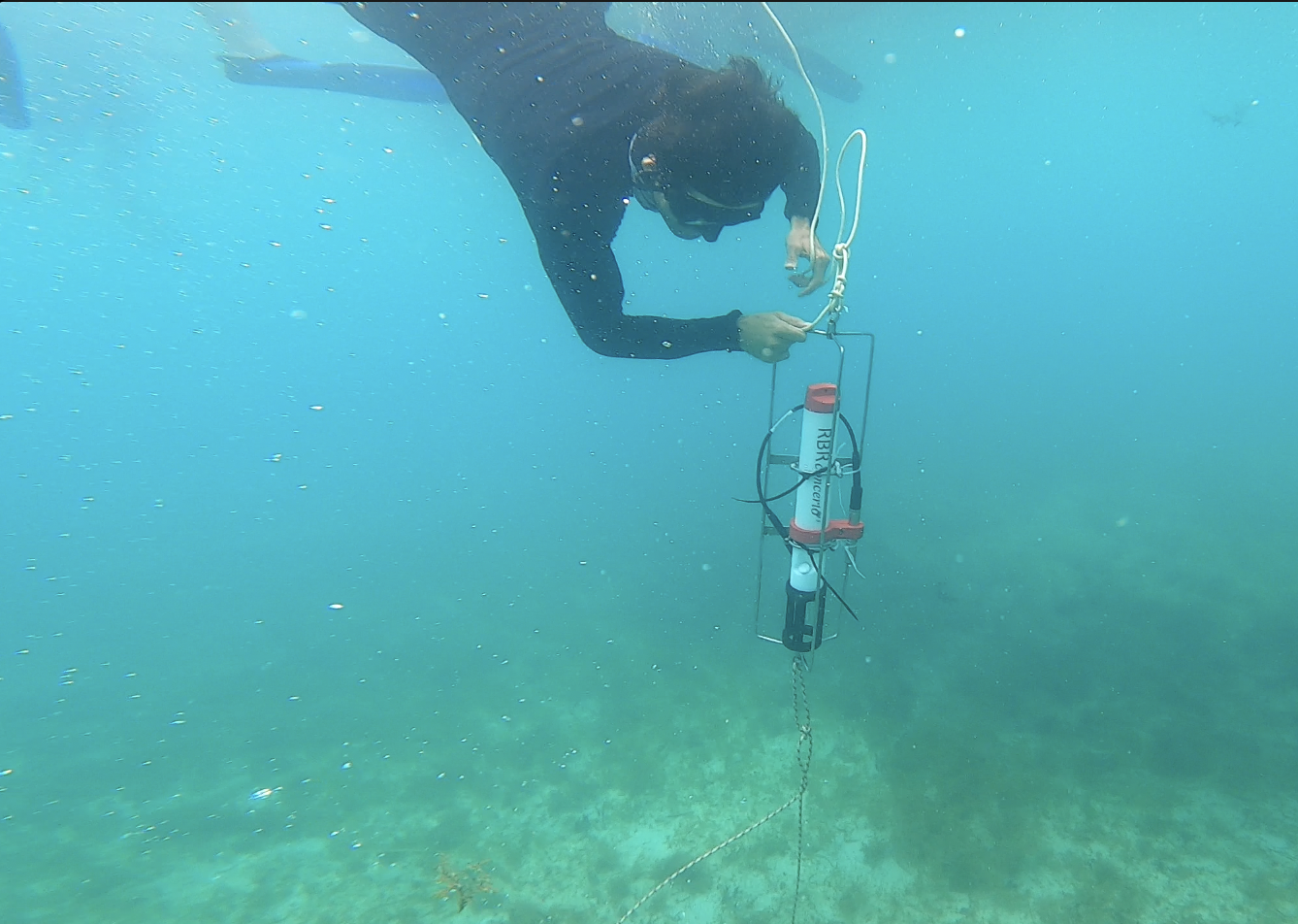 underwater CTD with pH and chl a sensors