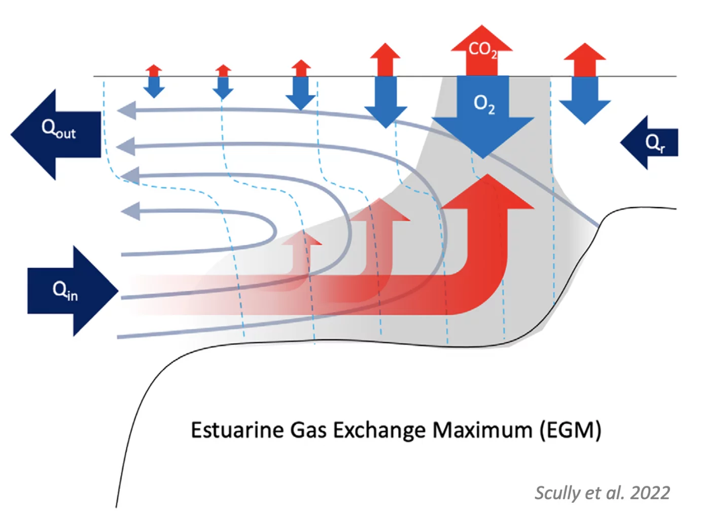 Variations in estuarine gas flux model