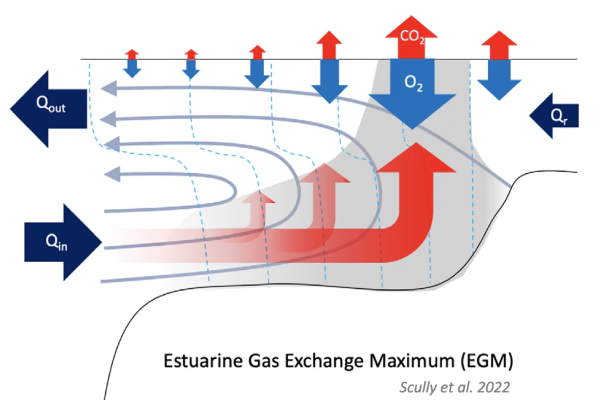 Estuarine Gas Exchange Maximum (EGM) model