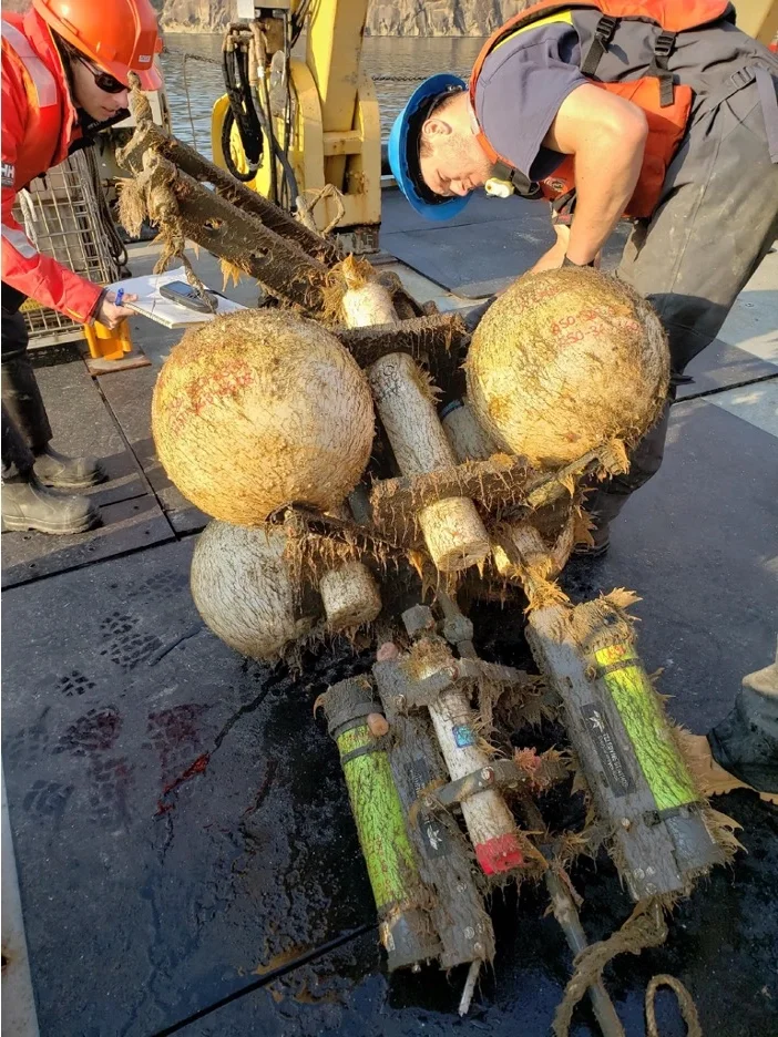 Hydrophone moorings deployed as part of Svein Vagle's monitoring project in the Salish Sea.