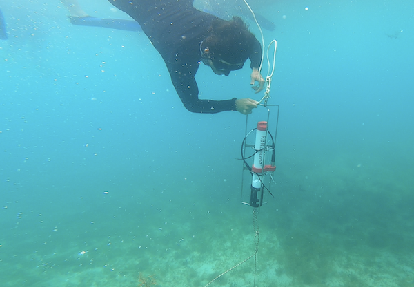 Diver with CTD