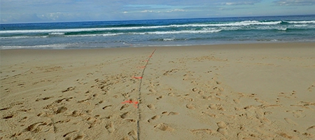Surf and swash zone dynamics