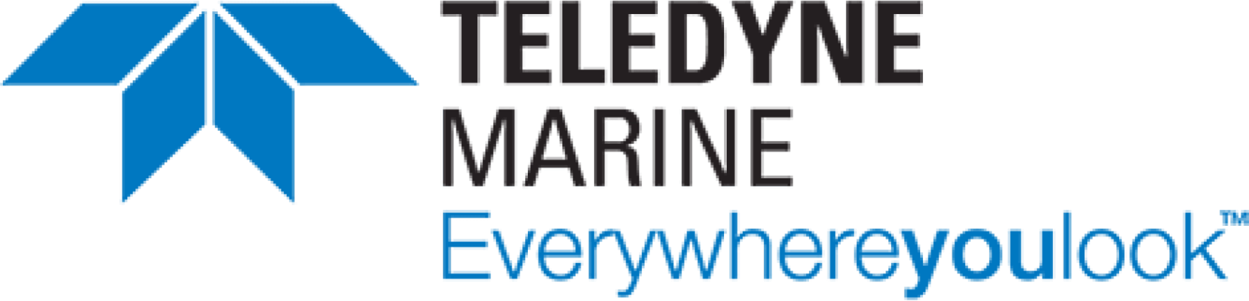 Teledyne logo