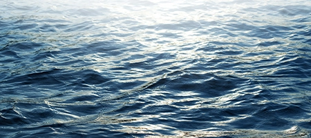Waves in the water