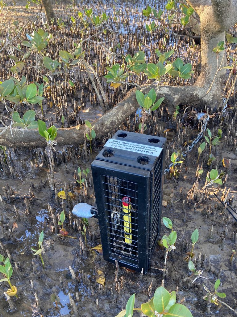 RBRsolo4 D wave instrument installed in the protective cage (Photo supplied)