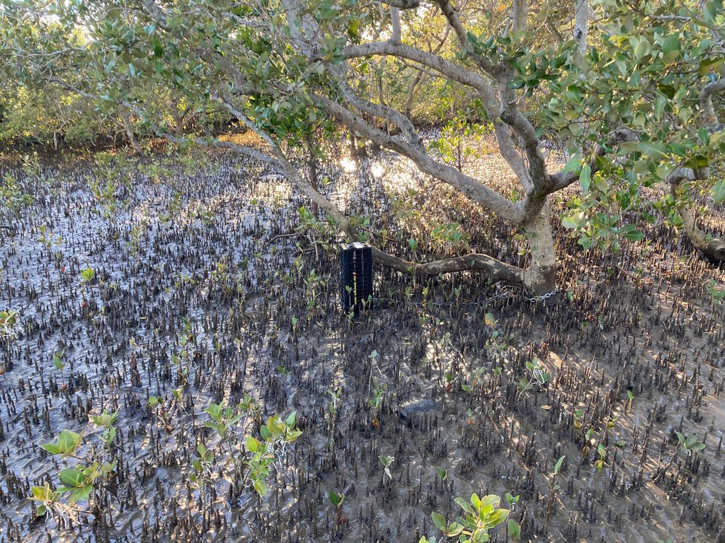 RBRsolo4 D wave instrument deployed in 'protected' location (Photo supplied)