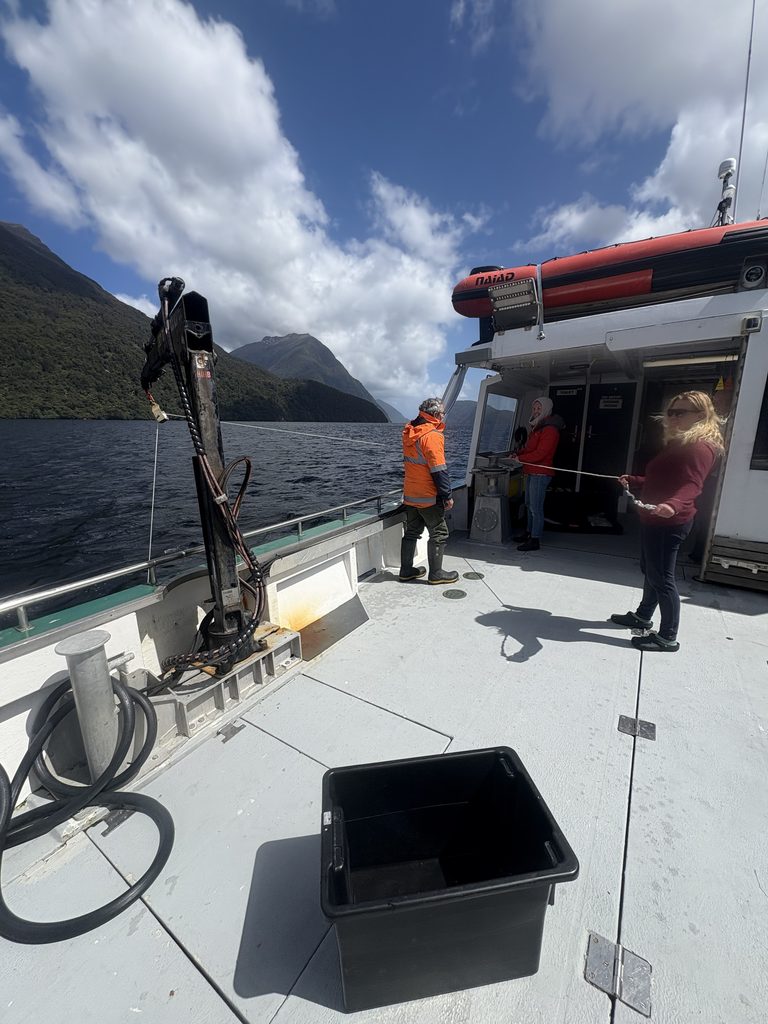 Eva Ramey, Chris Pascoe, and other members of the Department of Conservation lower an RBRconcerto3 C.T.D.ODO to the bottom of Patea/Doubtful Sound’s deep basin near Malaspina Reach. Credit: John Carter.